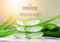 Miramar-Wellness-Brochure_EN.pdf